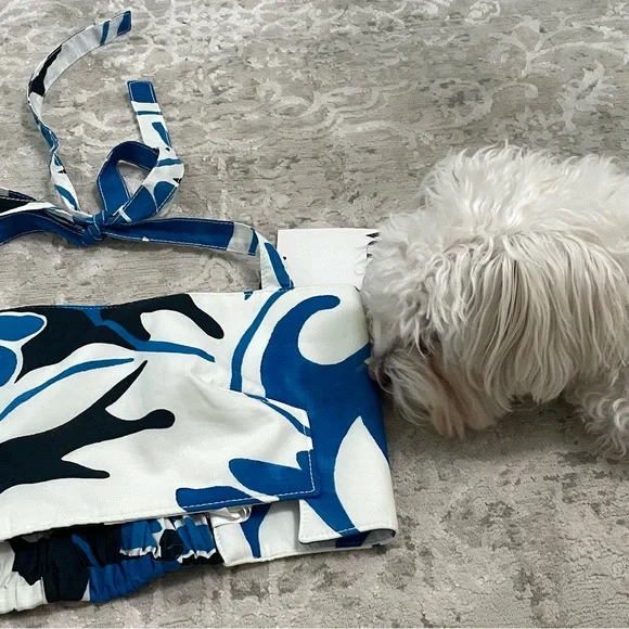 ZARA Floral Crop Top Blue/White Size XS NEW!! - Picture 4 of 9